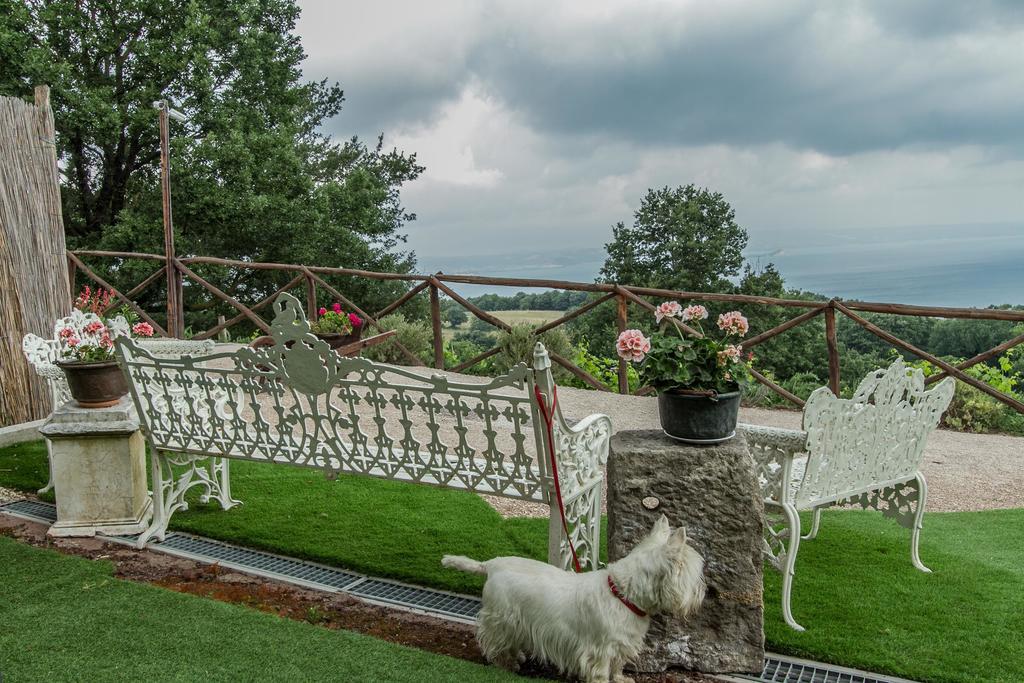 Agriturismo Specchio Del Lago Montefiascone Kültér fotó