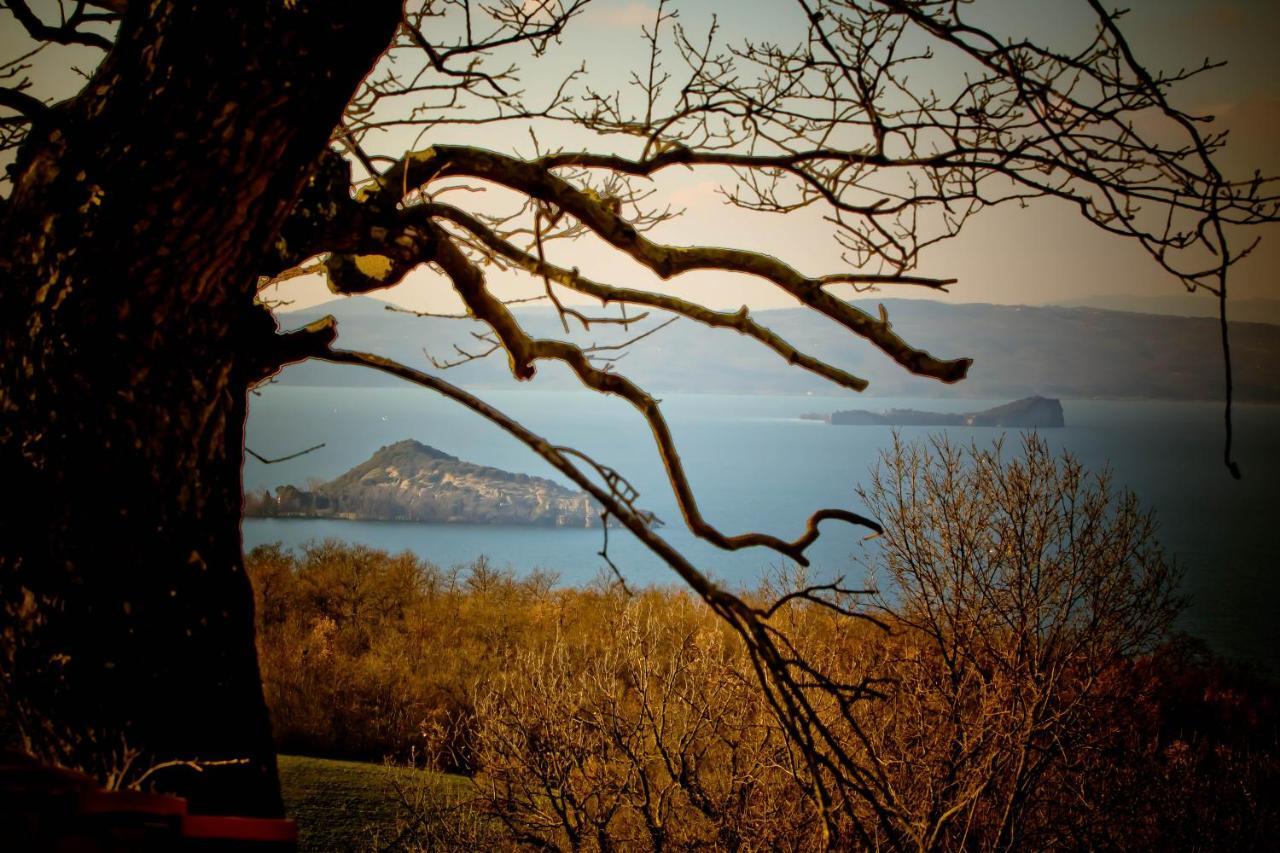 Agriturismo Specchio Del Lago Montefiascone Szoba fotó