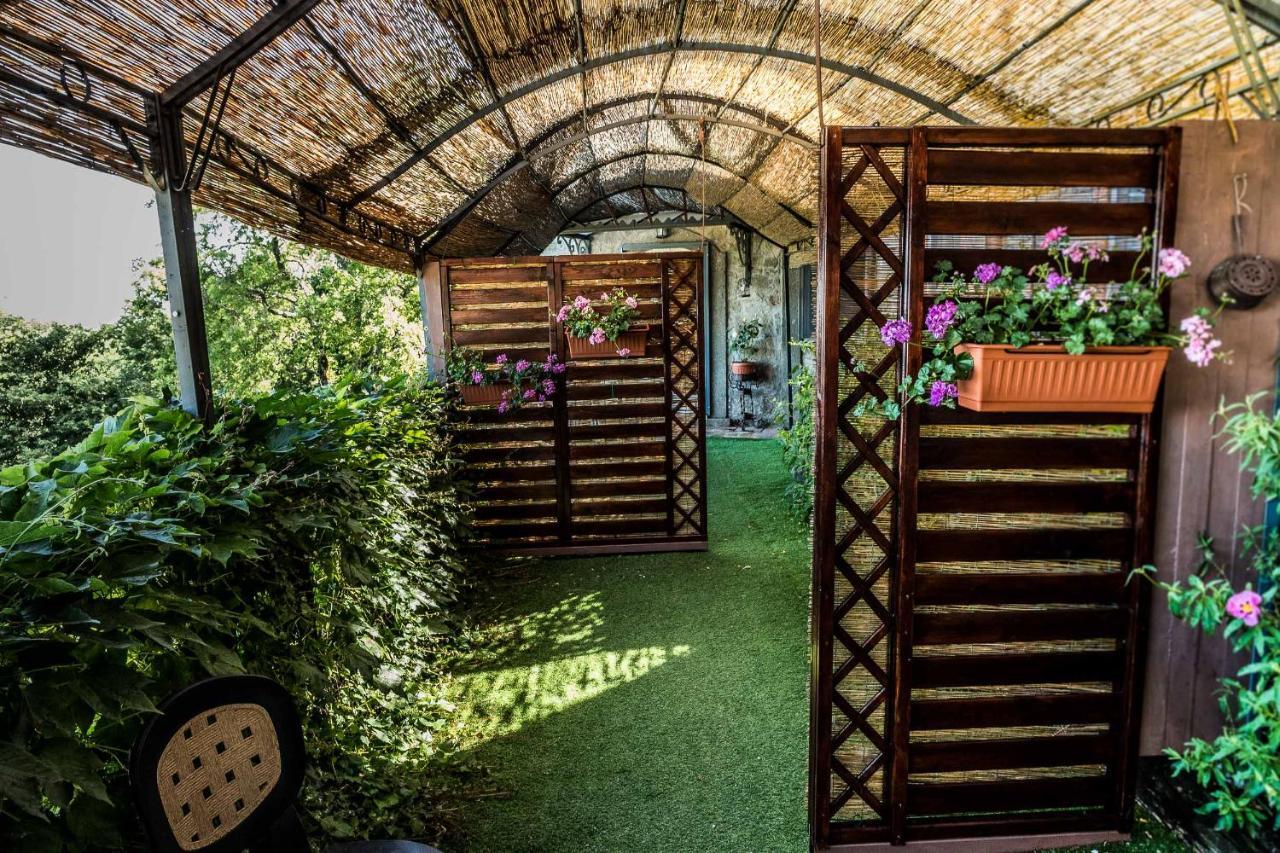 Agriturismo Specchio Del Lago Montefiascone Kültér fotó